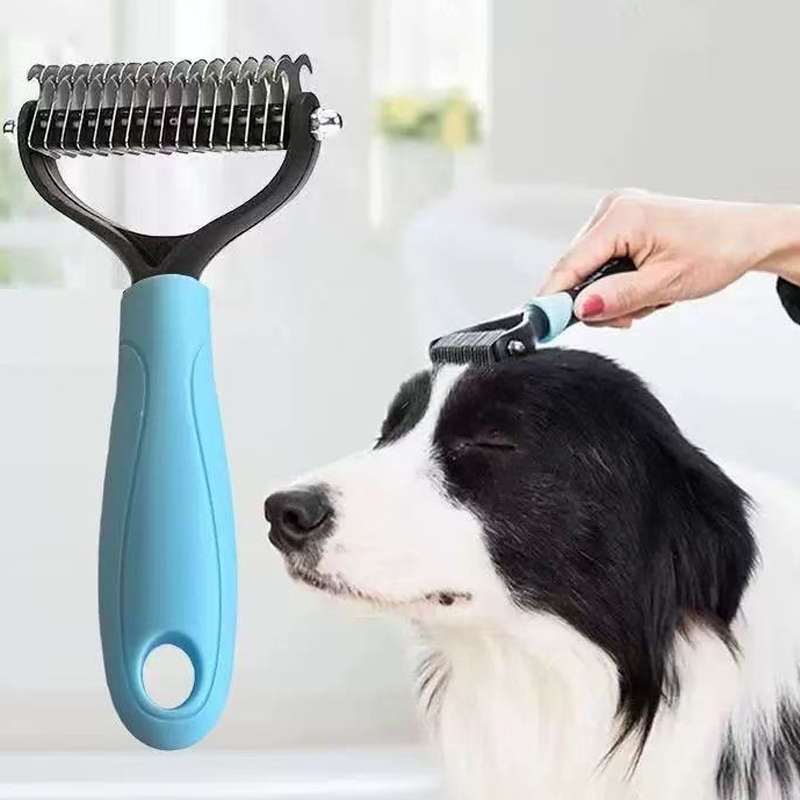 Blue grooming comb beside a dog