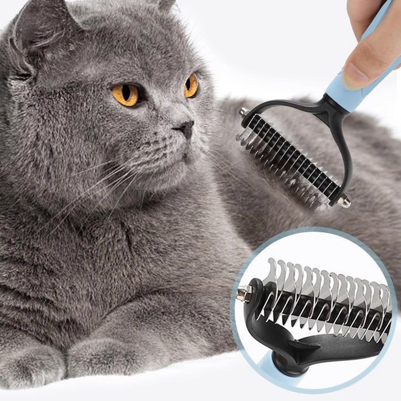Blue grooming comb near a cat