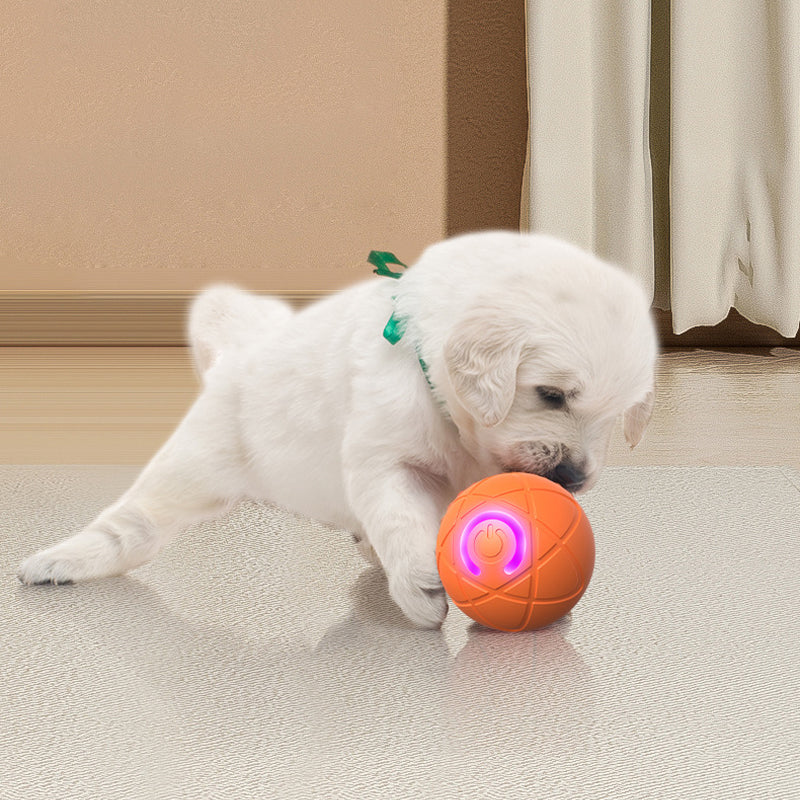 Interactive Light-Up Dog Ball Toy
