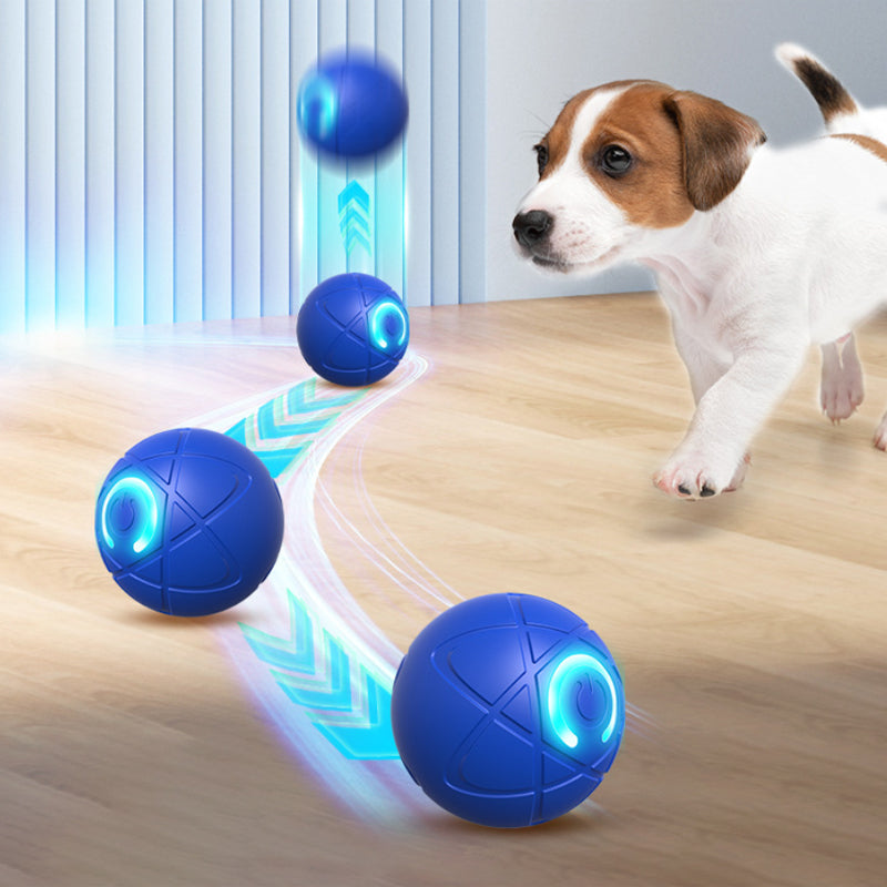 Interactive Light-Up Dog Ball Toy