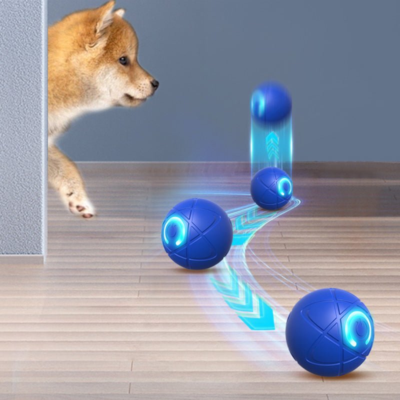 Interactive Light-Up Dog Ball Toy