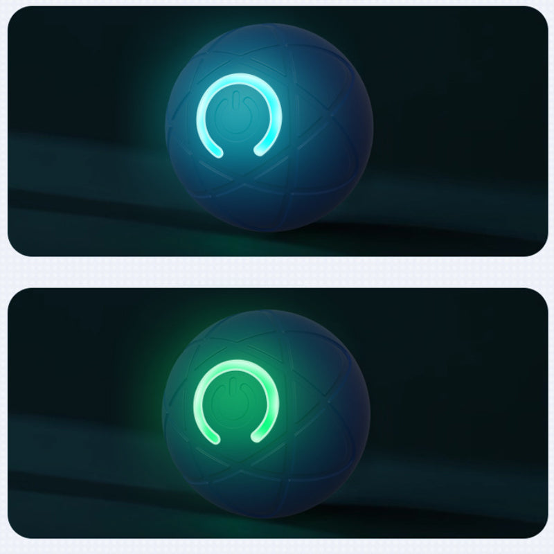 Interactive Light-Up Dog Ball Toy