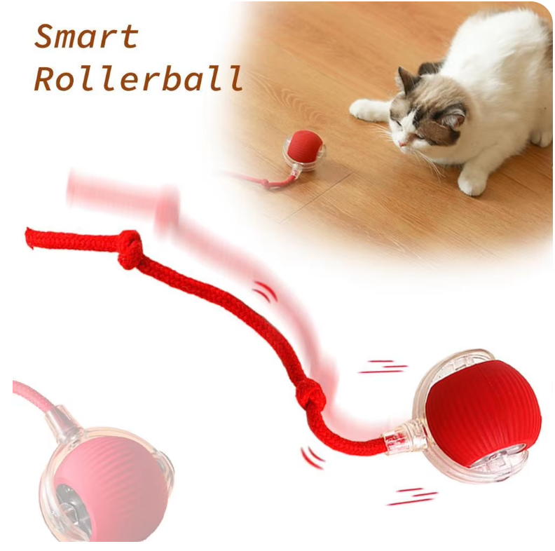 Red rolling ball toy and rope shown beside a cat