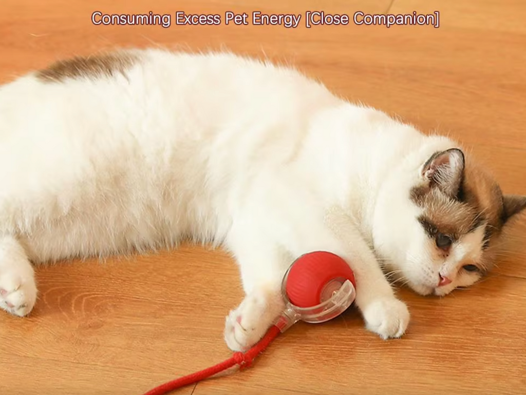 Interactive Rolling Ball Toy for Pets