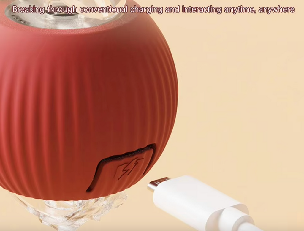 Interactive Rolling Ball Toy for Pets
