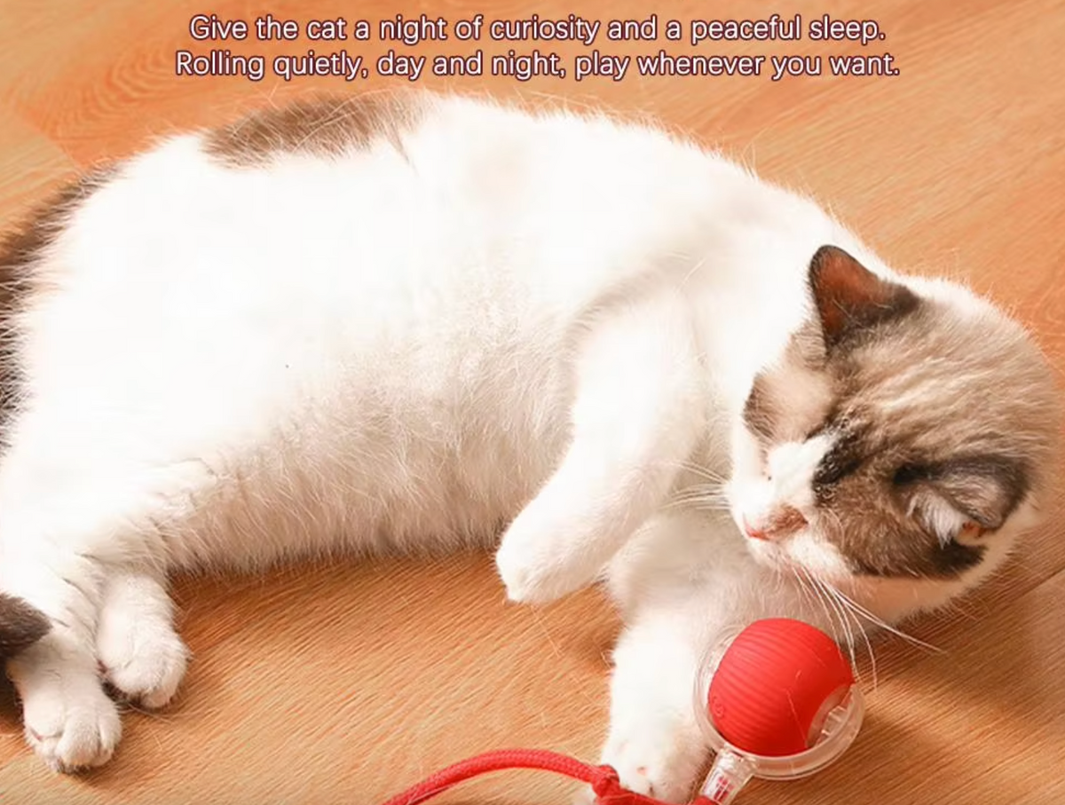 Interactive Rolling Ball Toy for Pets