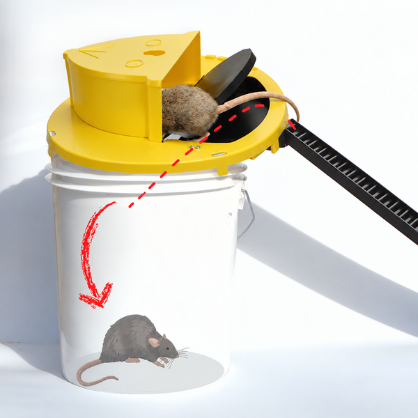 Automatic Reset Flip Lid Mouse Trap