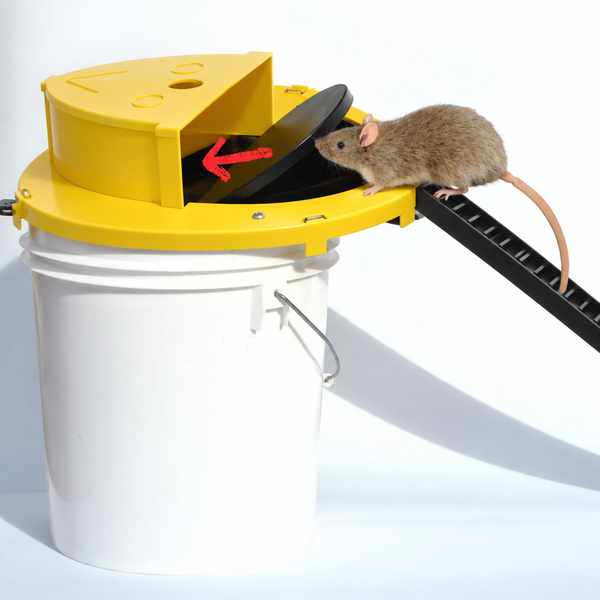 Automatic Reset Flip Lid Mouse Trap