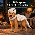 Pet Dinosaur Skeleton Costume Hat and Body Strap