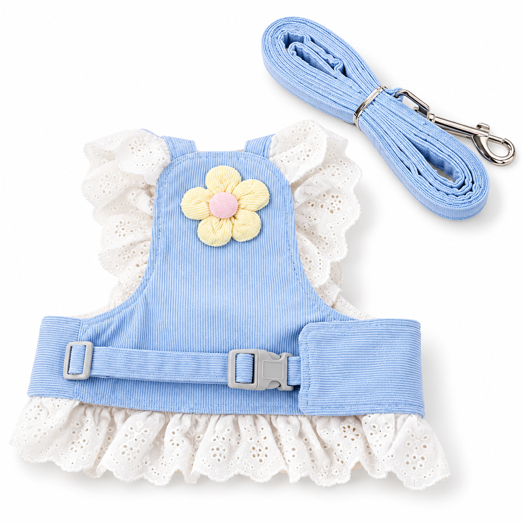 Blue lace harness with yellow flower, gray buckle and matching blue leash