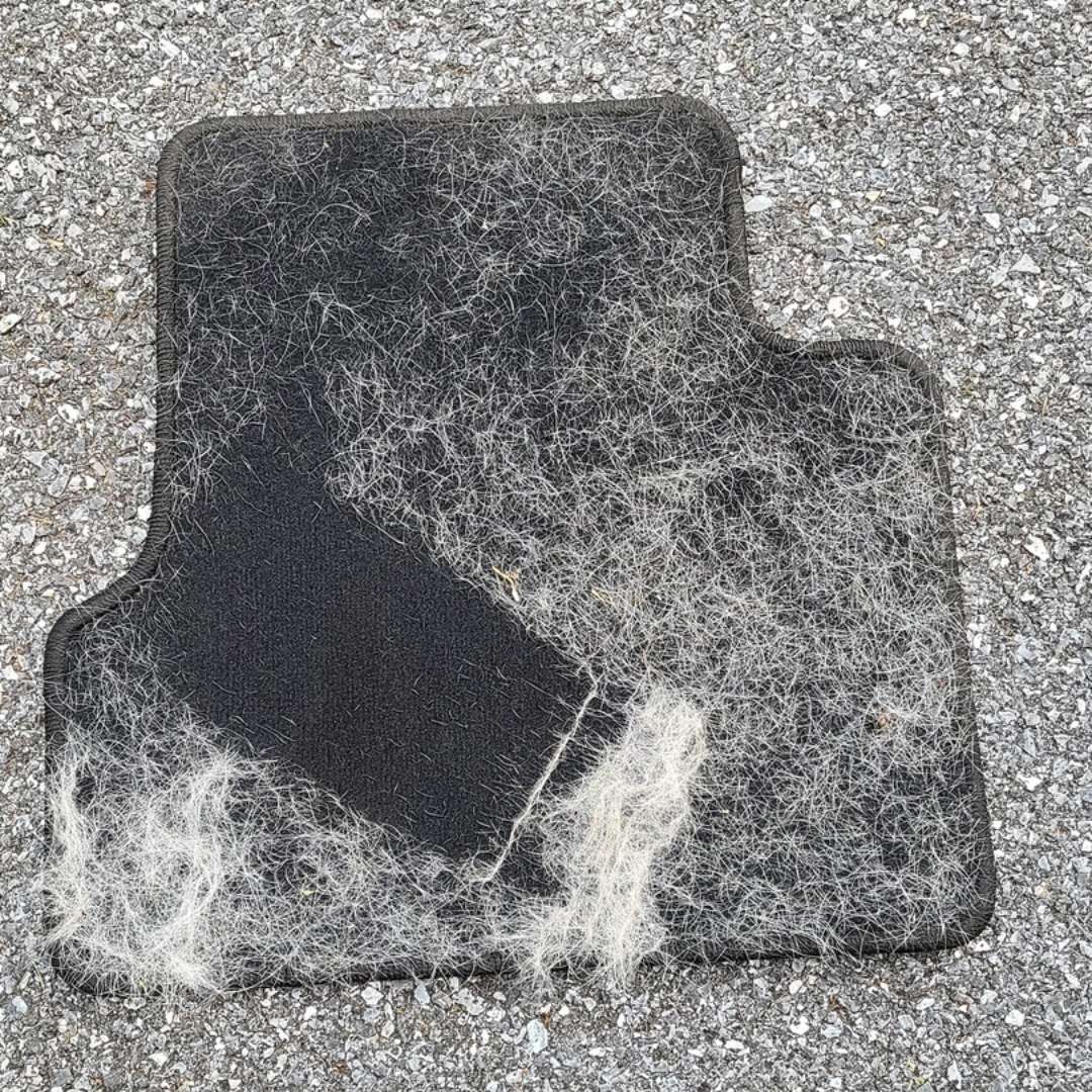 Pet hair gathered from a fabric car floor mat