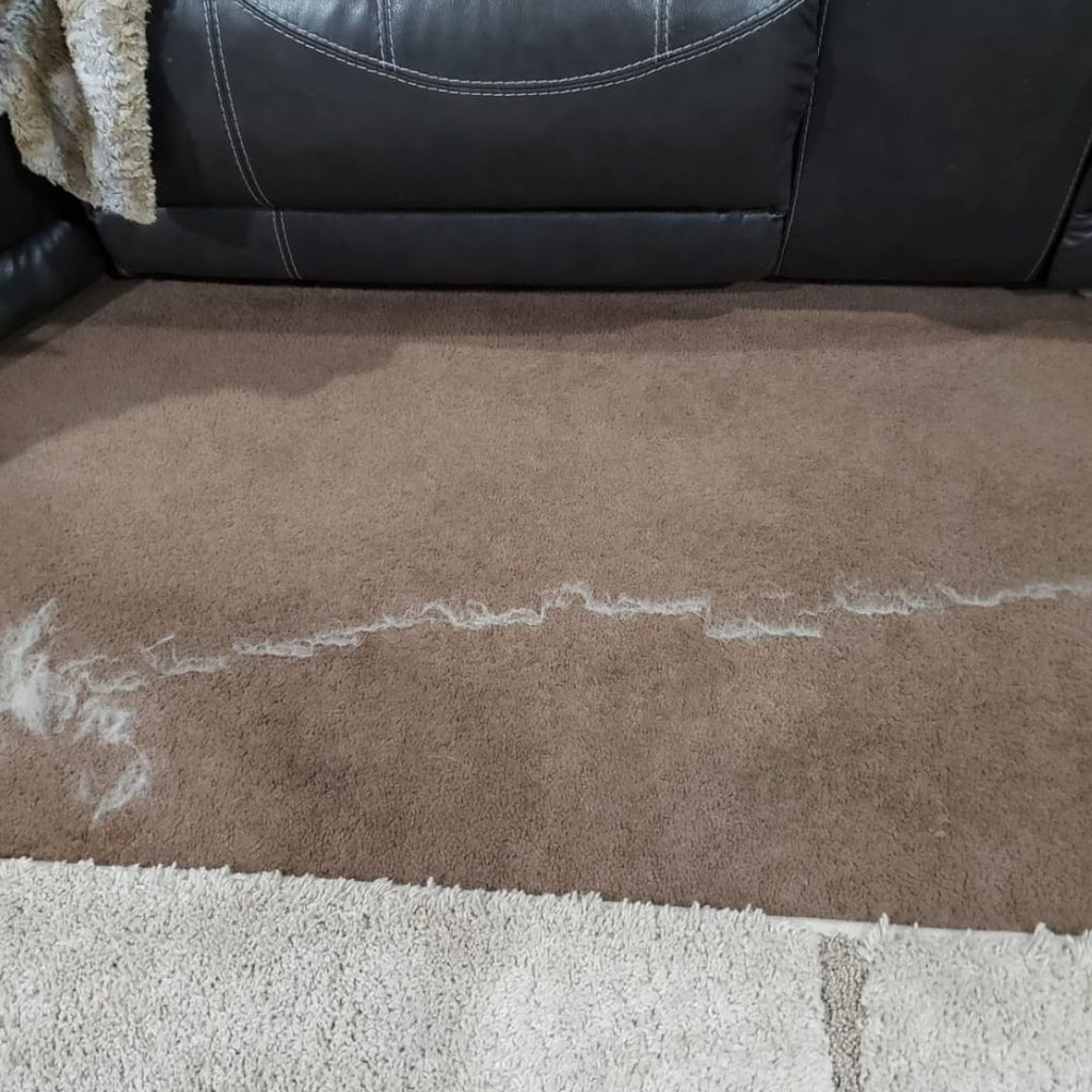 Collected pet hair across the edge of a sofa seat
