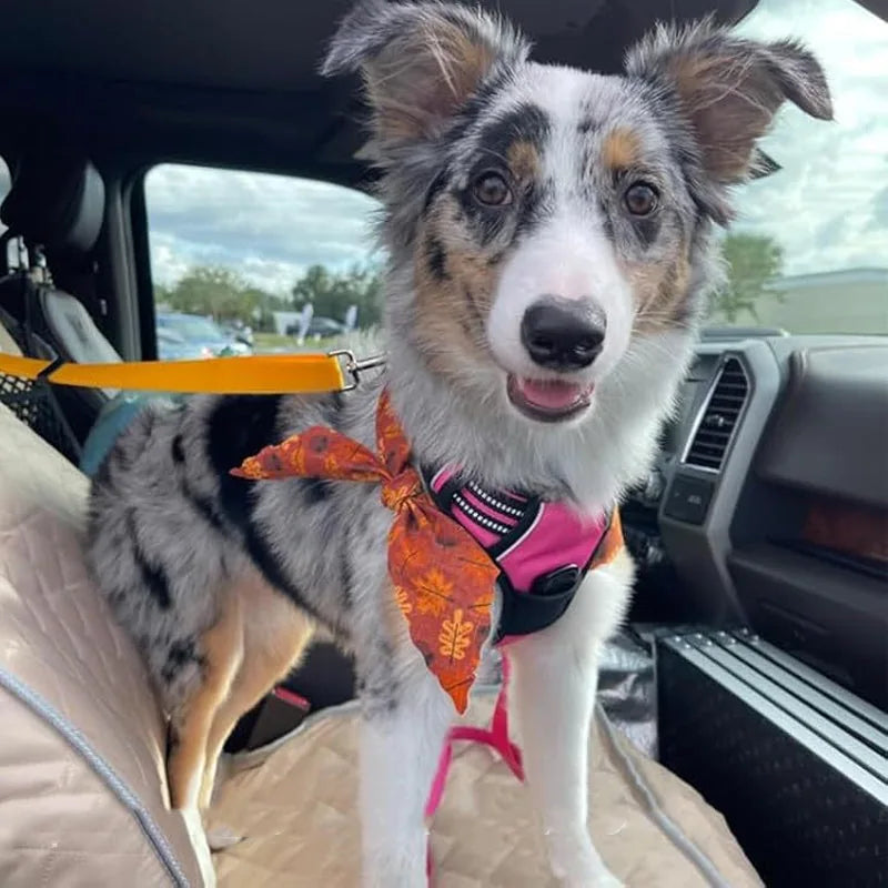 2-in-1 Dog Car Seat Belt and Walking Leash