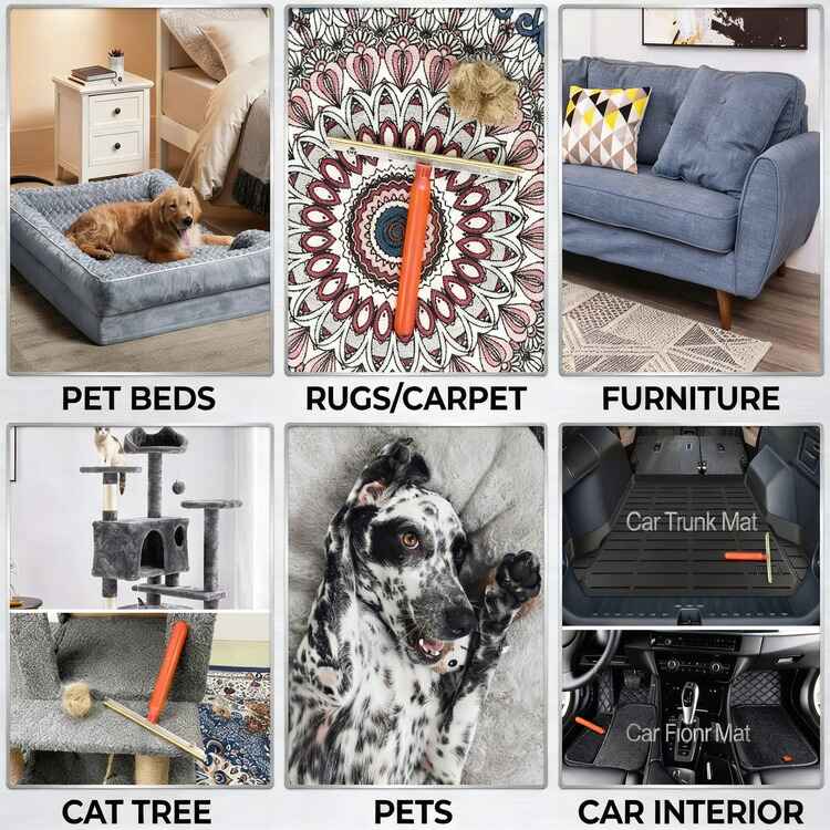 Carpet Pet Hair Remover Scraper