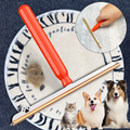 Carpet Pet Hair Remover Scraper
